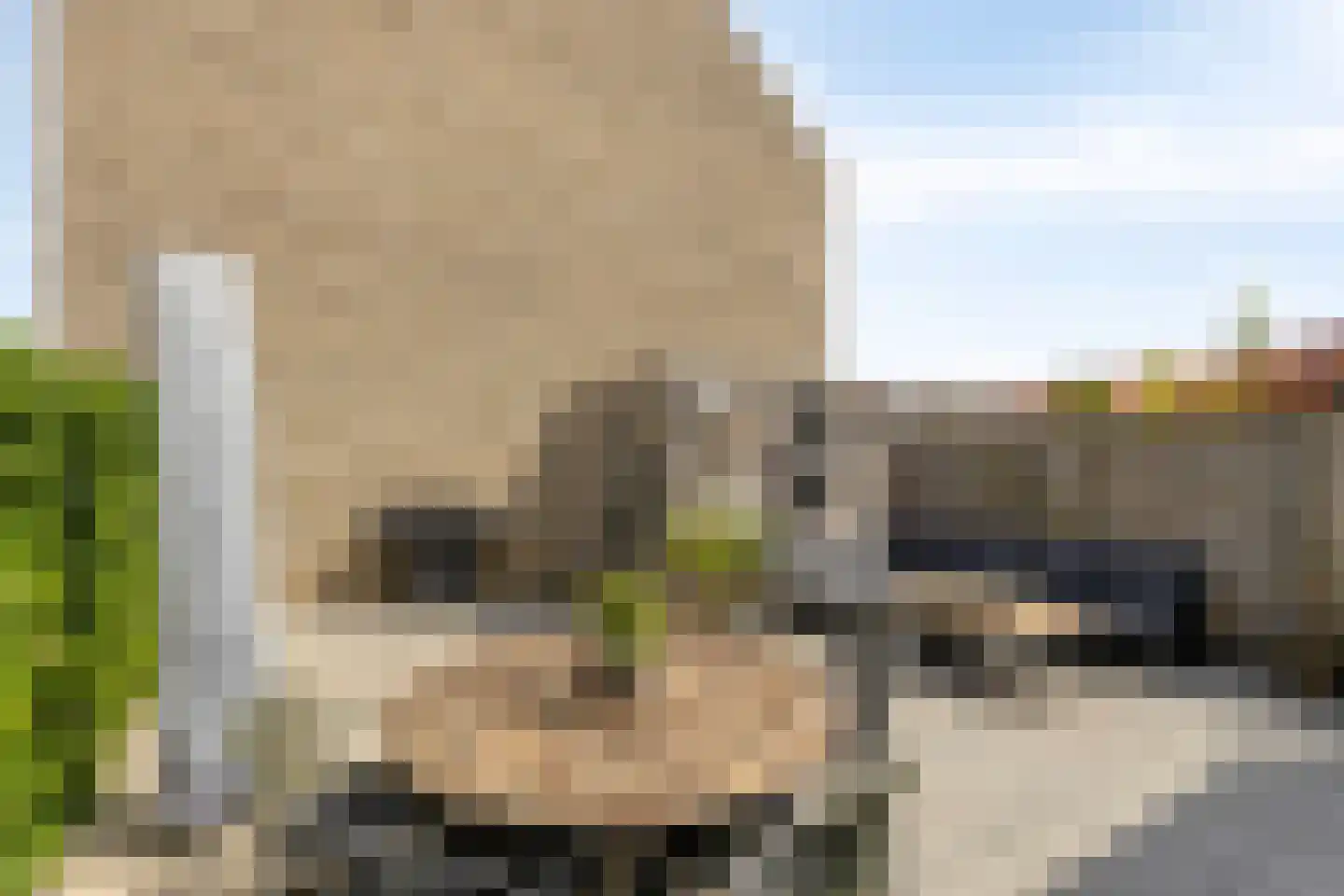 Ticheldreef 64 Druten thumbnail 35