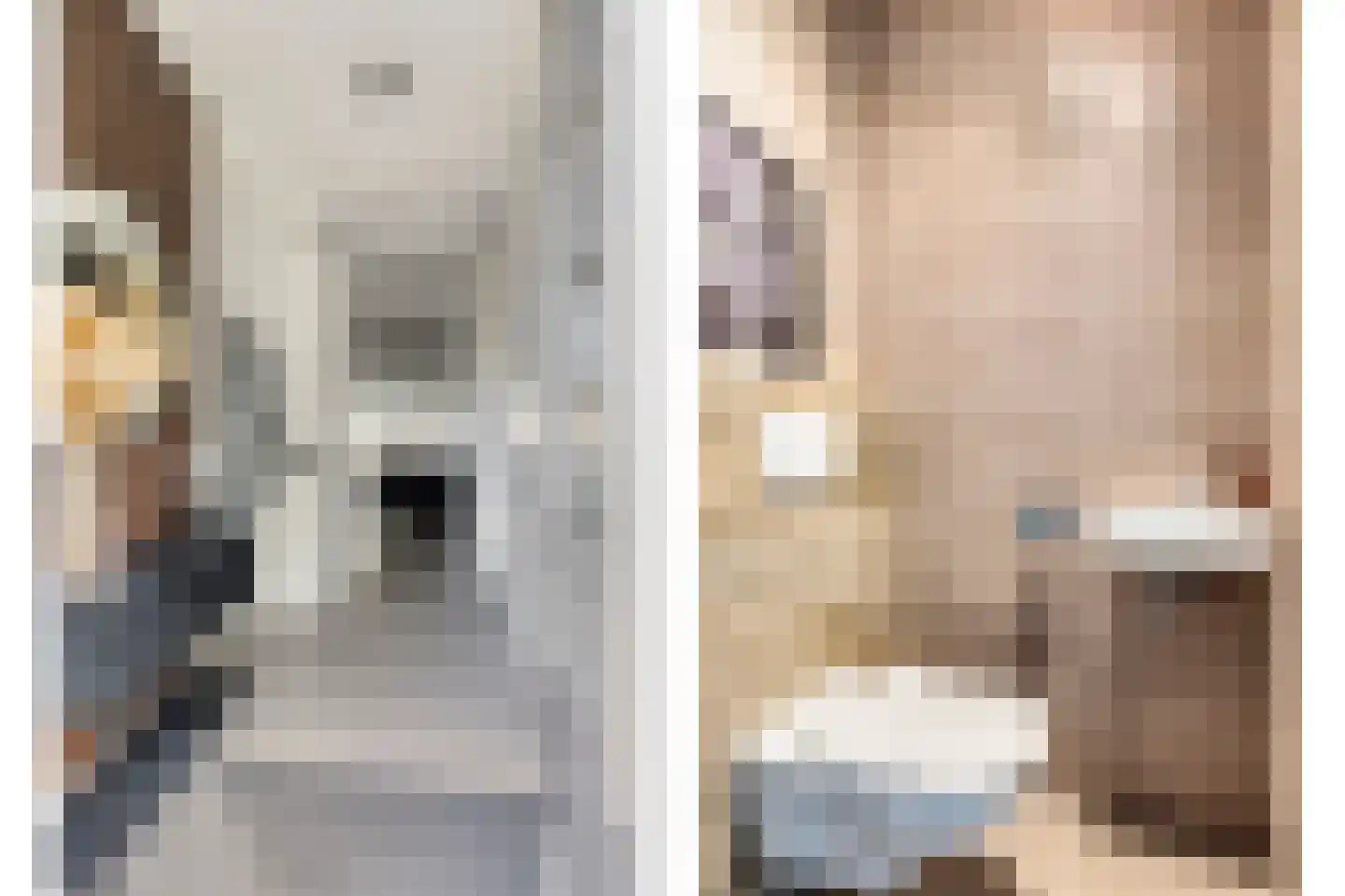 Ticheldreef 64 Druten thumbnail 8