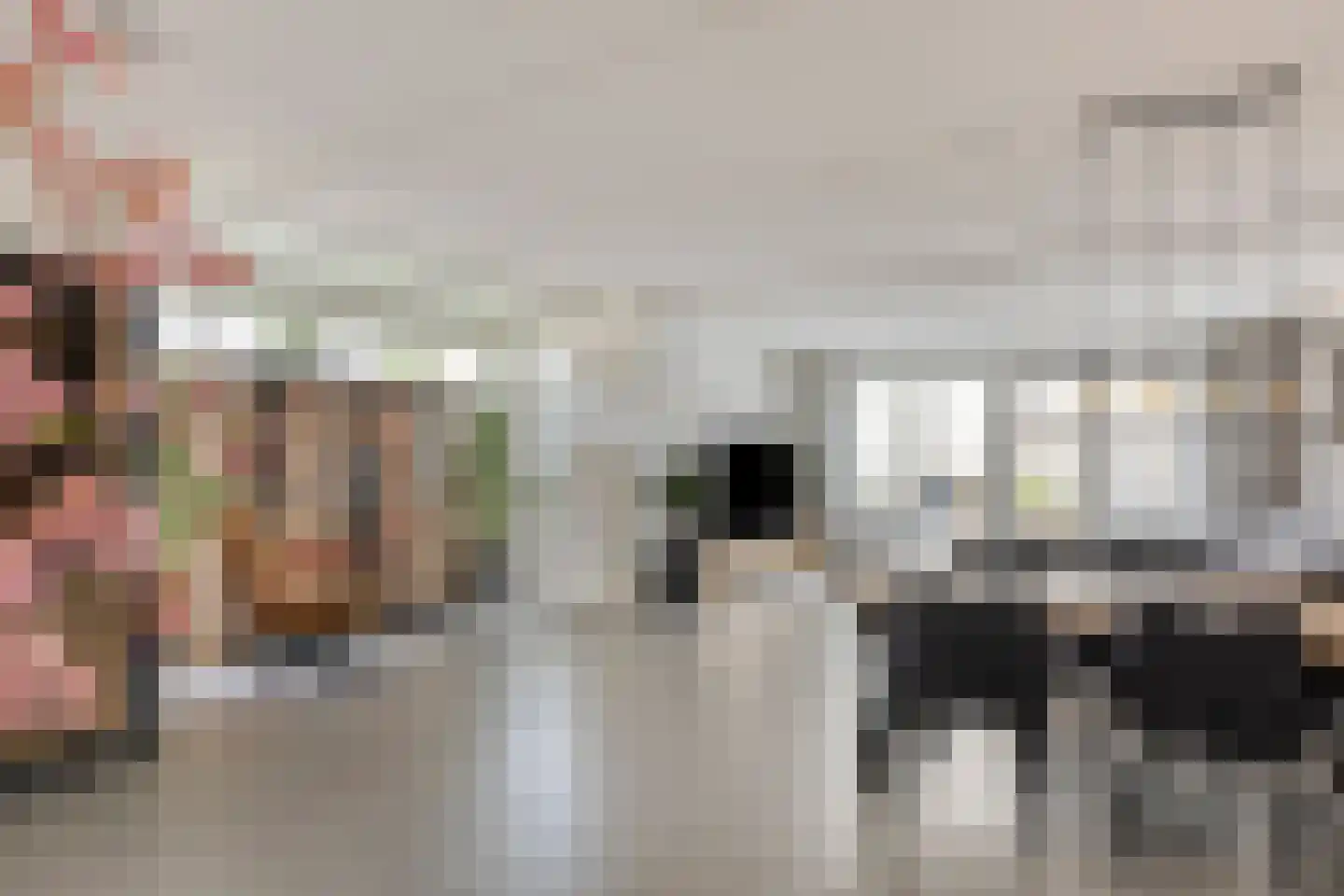 Ticheldreef 64 Druten thumbnail 9