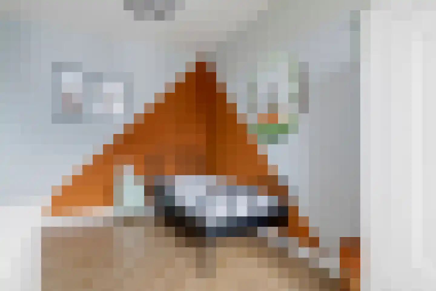 Ticheldreef 81 Druten thumbnail 19