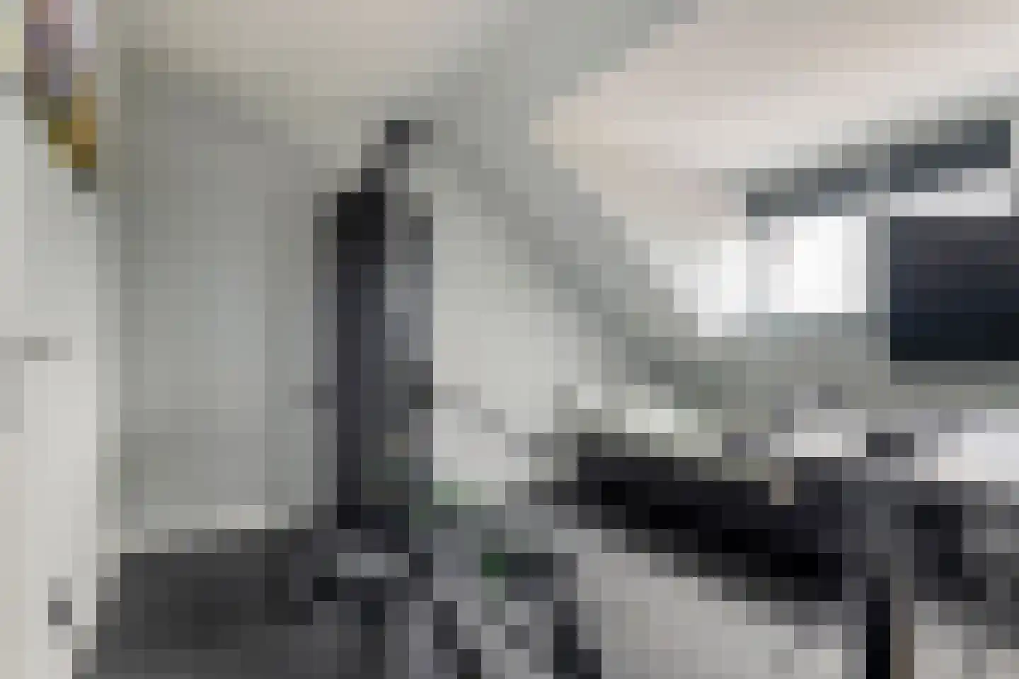 Ticheldreef 81 Druten thumbnail 28