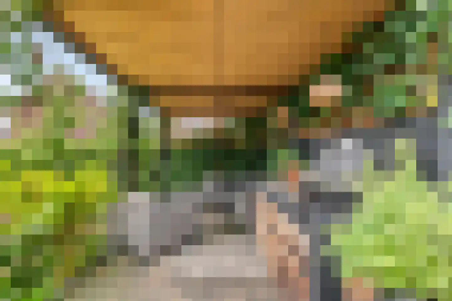 Ticheldreef 81 Druten thumbnail 31