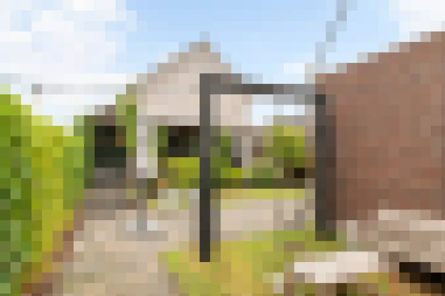 Ticheldreef 81 Druten thumbnail 33