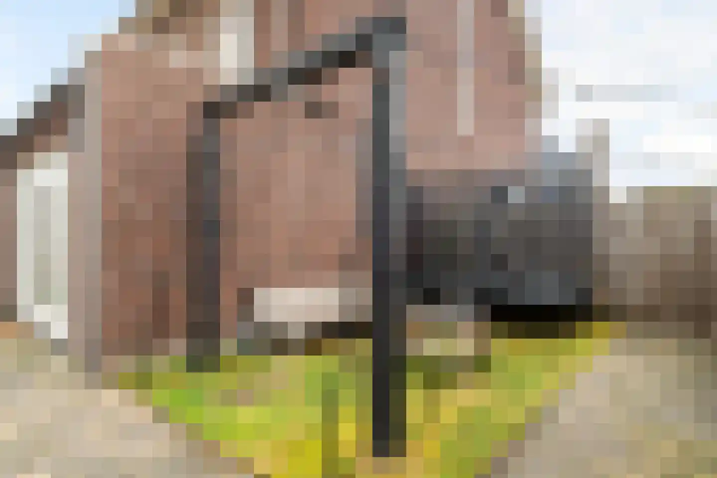 Ticheldreef 81 Druten thumbnail 34