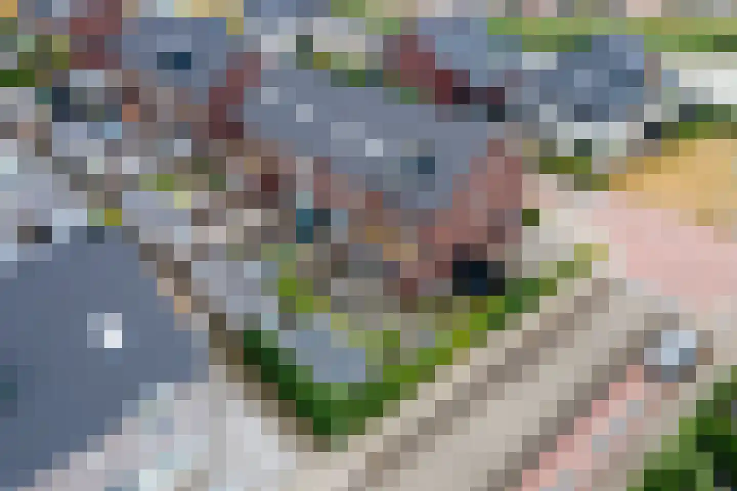 Ticheldreef 81 Druten thumbnail 36
