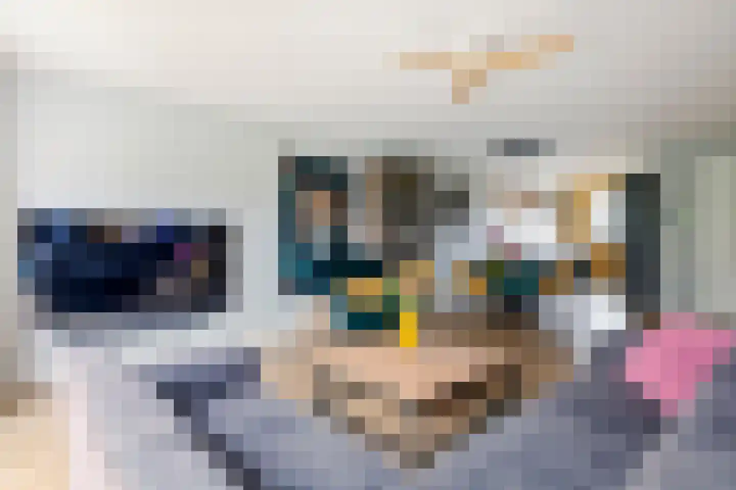 Ticheldreef 81 Druten thumbnail 8