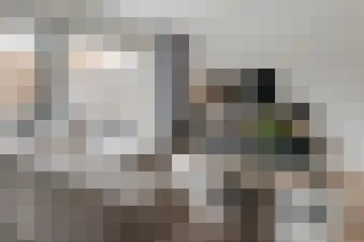 Ticheldreef 89 Druten thumbnail 10