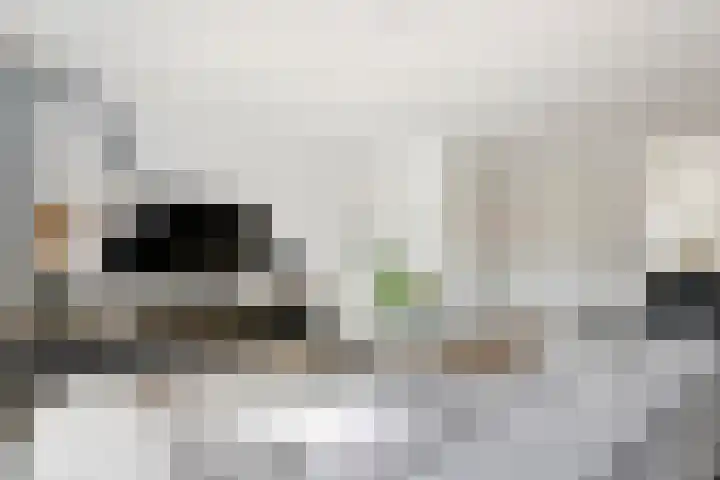 Ticheldreef 89 Druten thumbnail 12