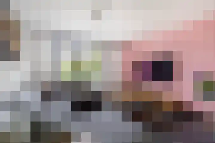 Ticheldreef 89 Druten thumbnail 14