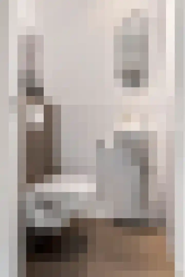 Ticheldreef 89 Druten thumbnail 15