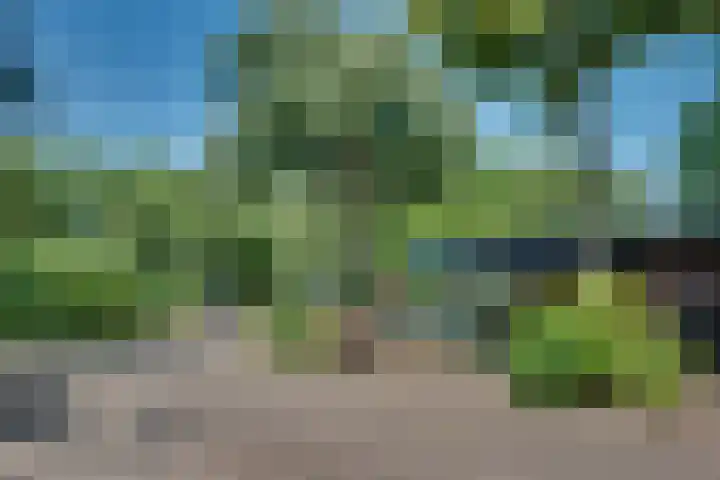 Ticheldreef 89 Druten foto 2