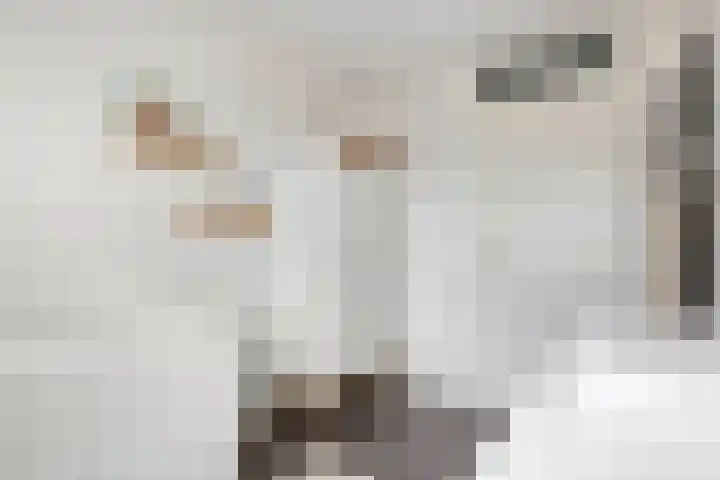 Ticheldreef 89 Druten thumbnail 20