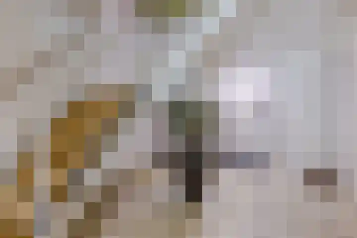 Ticheldreef 89 Druten thumbnail 24