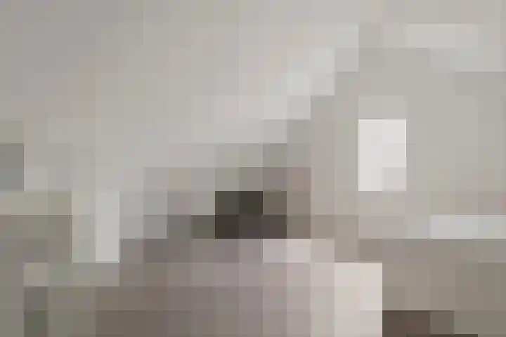 Ticheldreef 89 Druten thumbnail 26