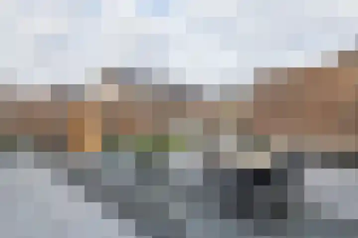 Ticheldreef 89 Druten thumbnail 29