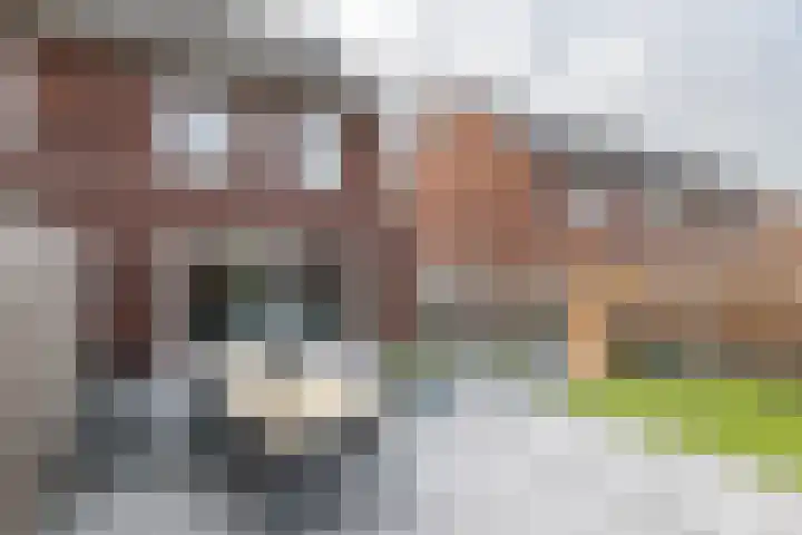 Ticheldreef 89 Druten thumbnail 31