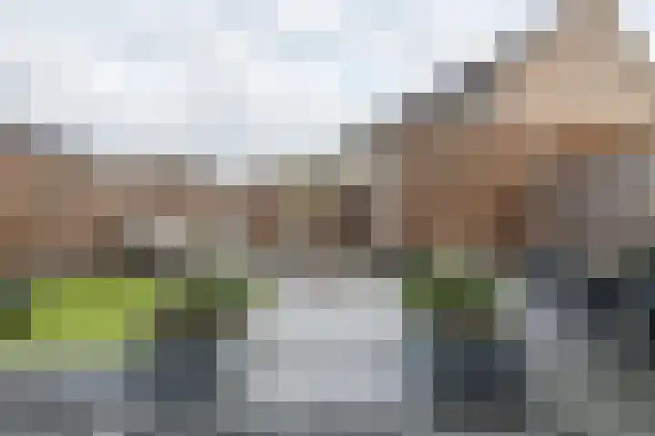 Ticheldreef 89 Druten thumbnail 33