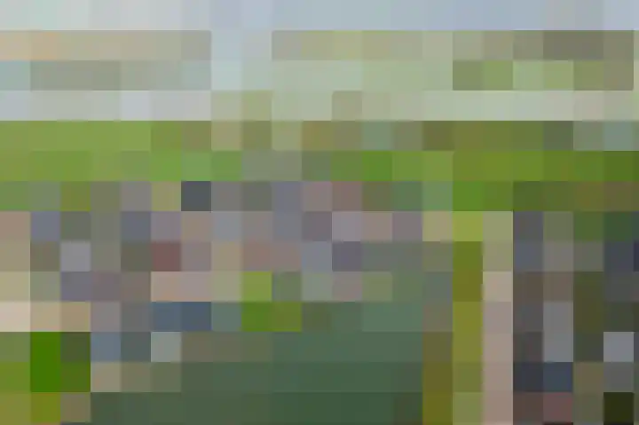 Ticheldreef 89 Druten thumbnail 38