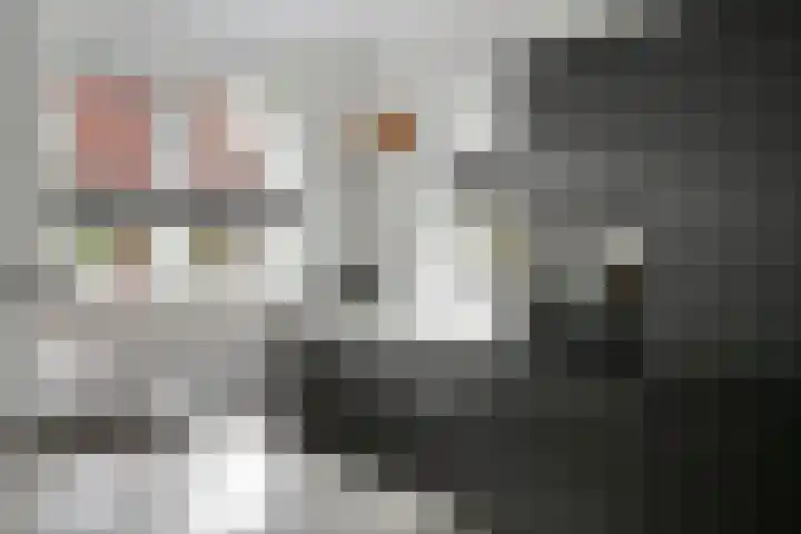 Ticheldreef 89 Druten thumbnail 4