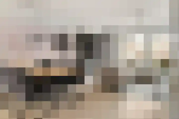 Ticheldreef 89 Druten thumbnail 9
