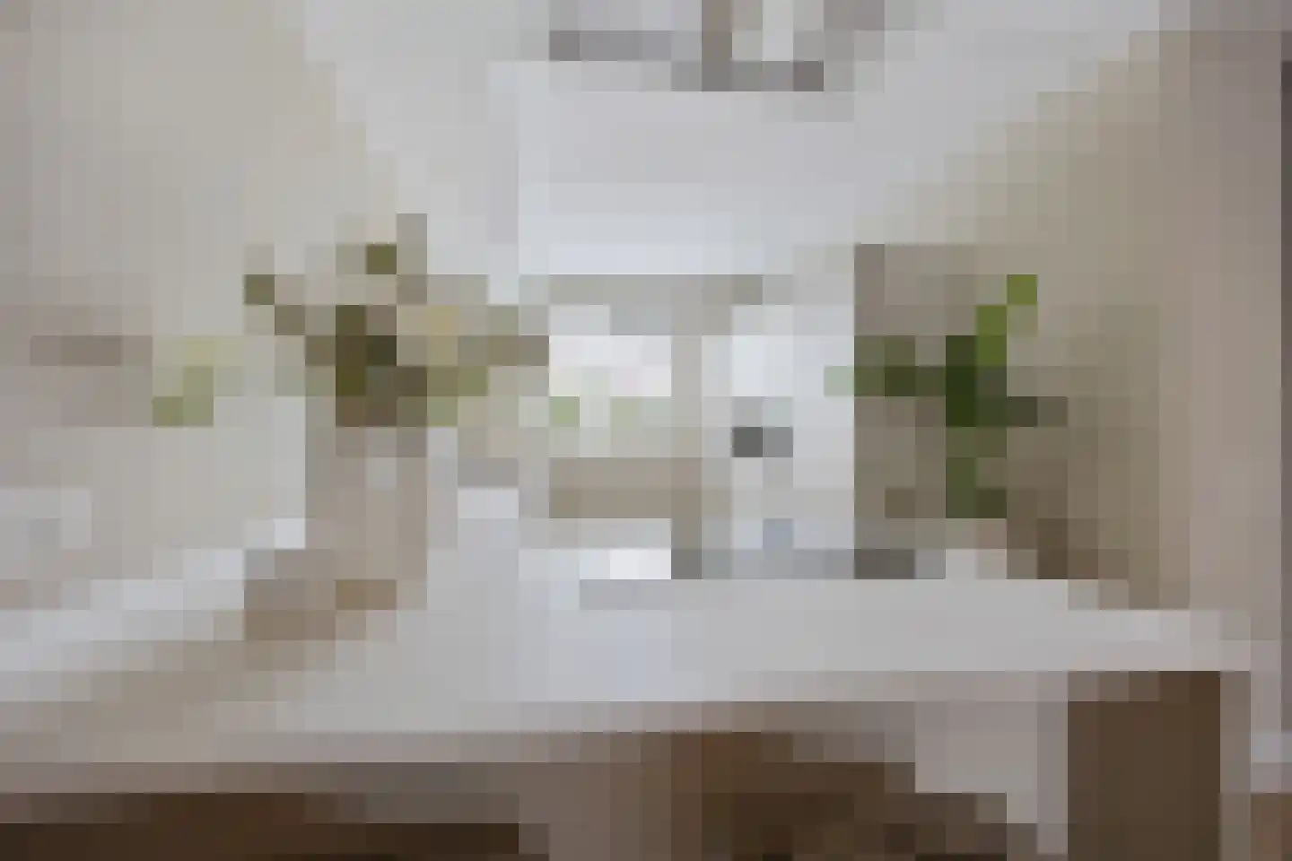 Ticheldreef 93 Druten thumbnail 17
