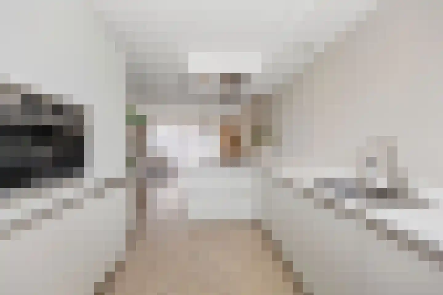 Ticheldreef 93 Druten thumbnail 22