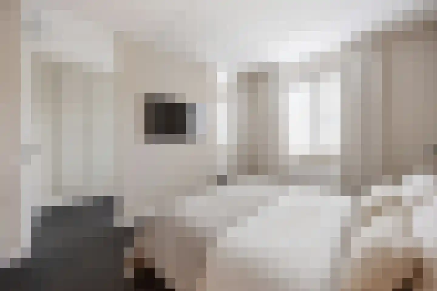 Ticheldreef 93 Druten thumbnail 27
