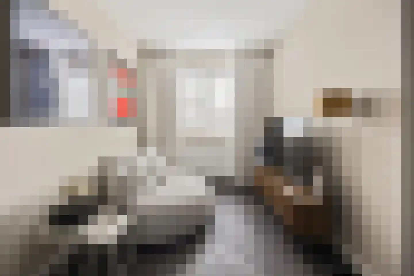 Ticheldreef 93 Druten thumbnail 31