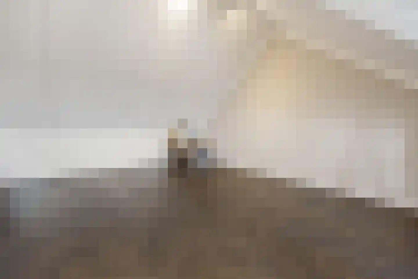 Ticheldreef 93 Druten thumbnail 41