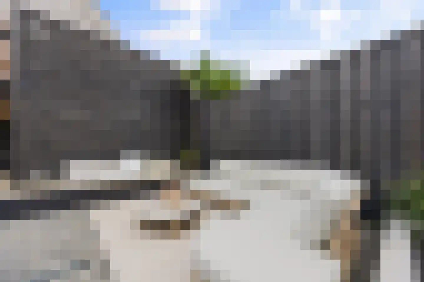 Ticheldreef 93 Druten thumbnail 46