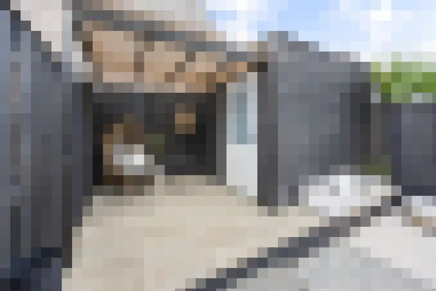 Ticheldreef 93 Druten thumbnail 47