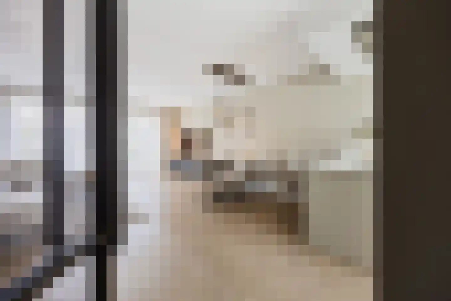 Ticheldreef 93 Druten thumbnail 5