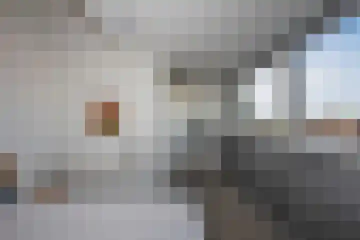 Tichelerhof 23 Enschede thumbnail 29