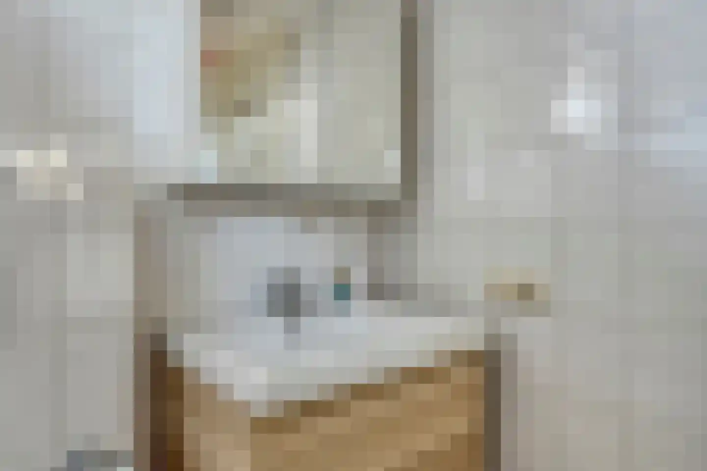 Tichelerstraat 12 Sevenum thumbnail 20