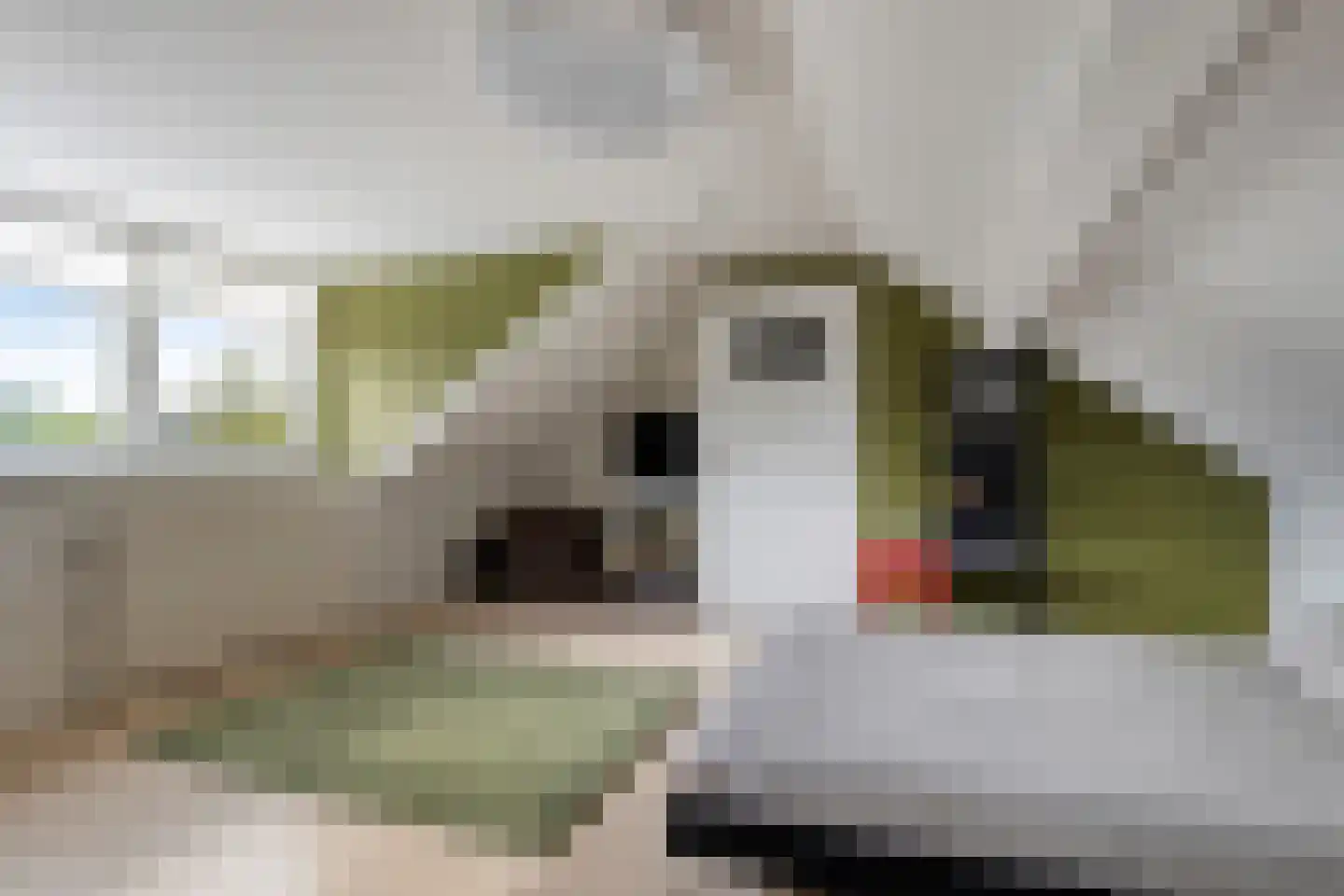 Tichelerstraat 12 Sevenum thumbnail 23