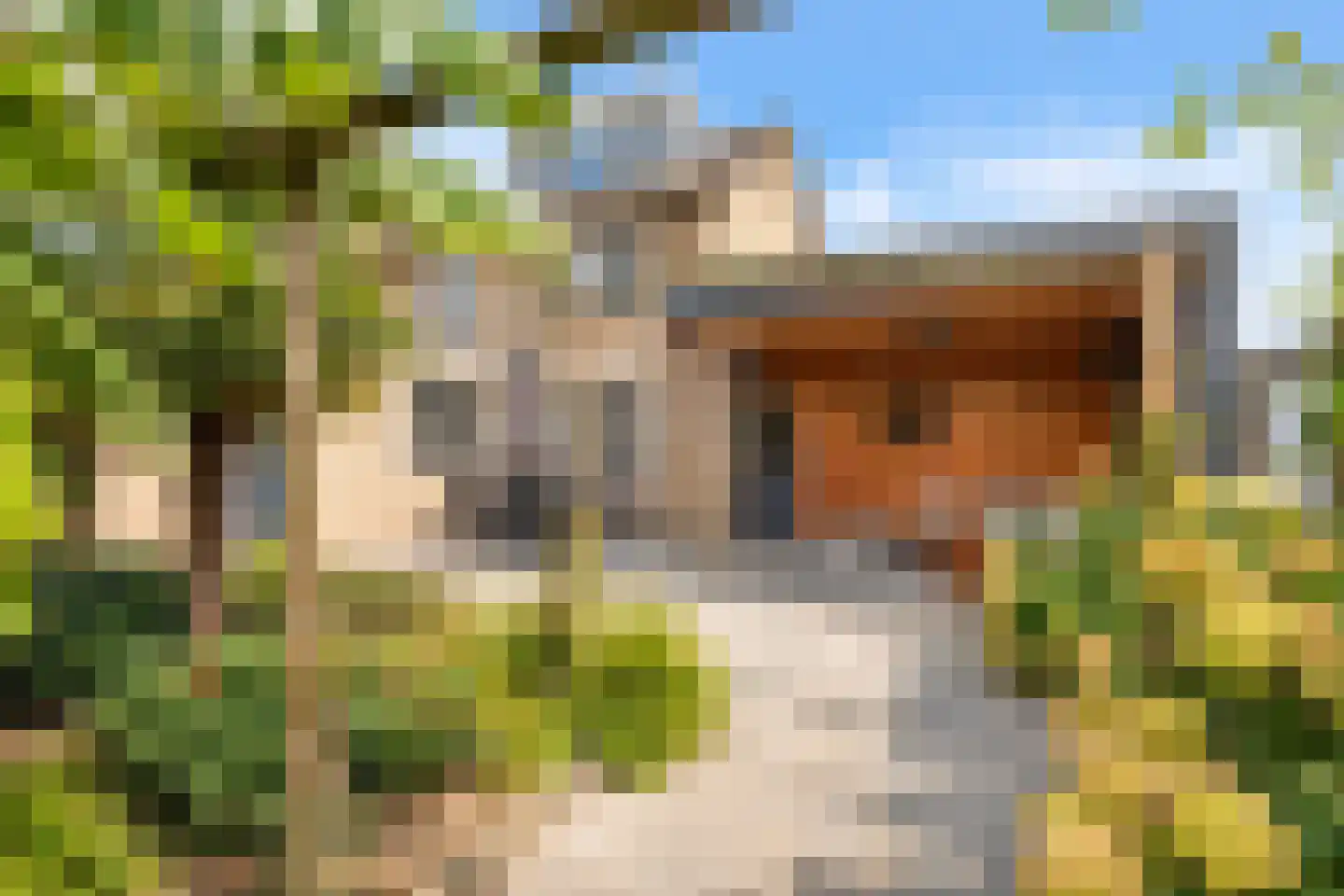 Tichelerstraat 12 Sevenum thumbnail 27