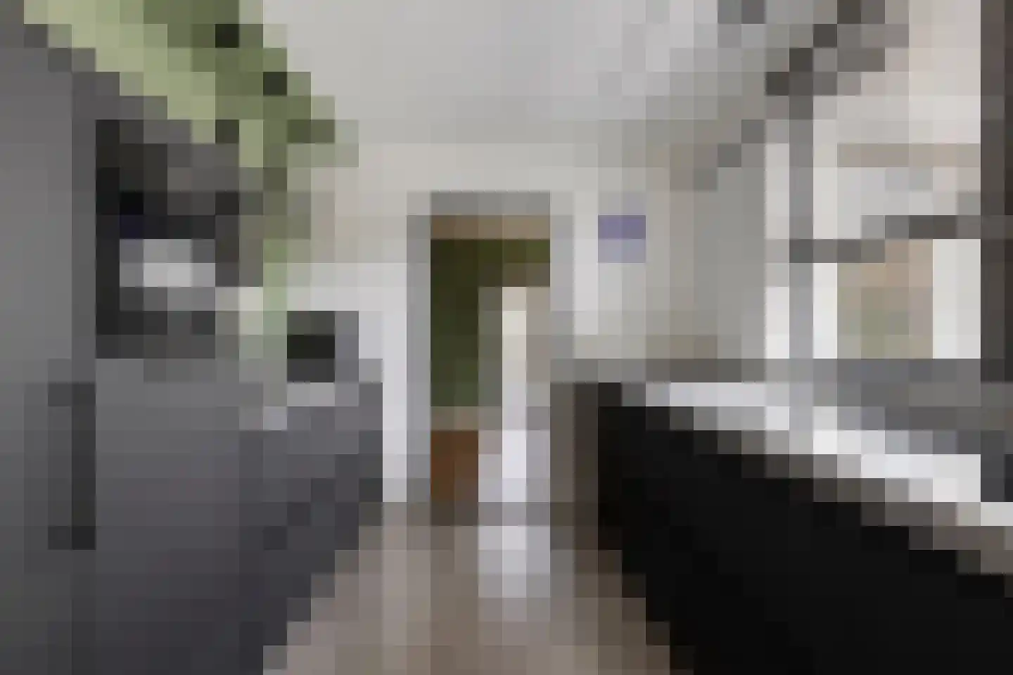 Tichelerstraat 12 Sevenum thumbnail 9