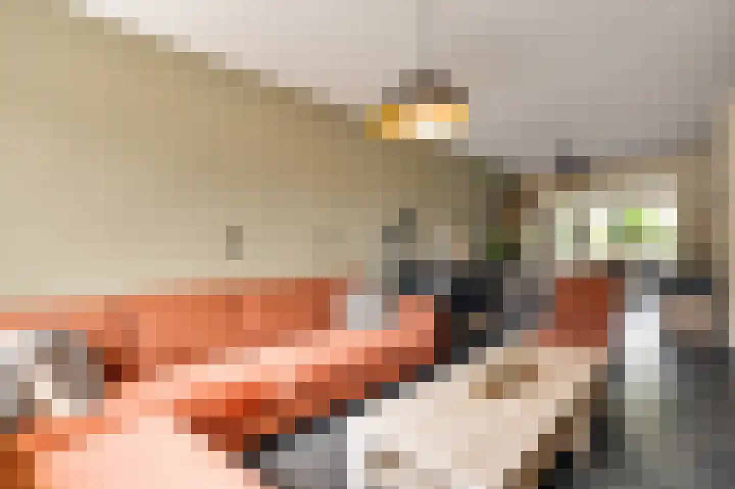 Tichelerstraat 15 Sevenum thumbnail 10