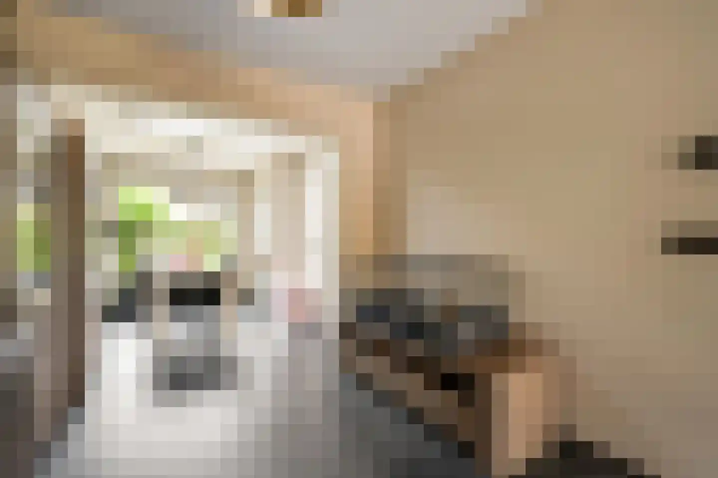 Tichelerstraat 15 Sevenum thumbnail 12