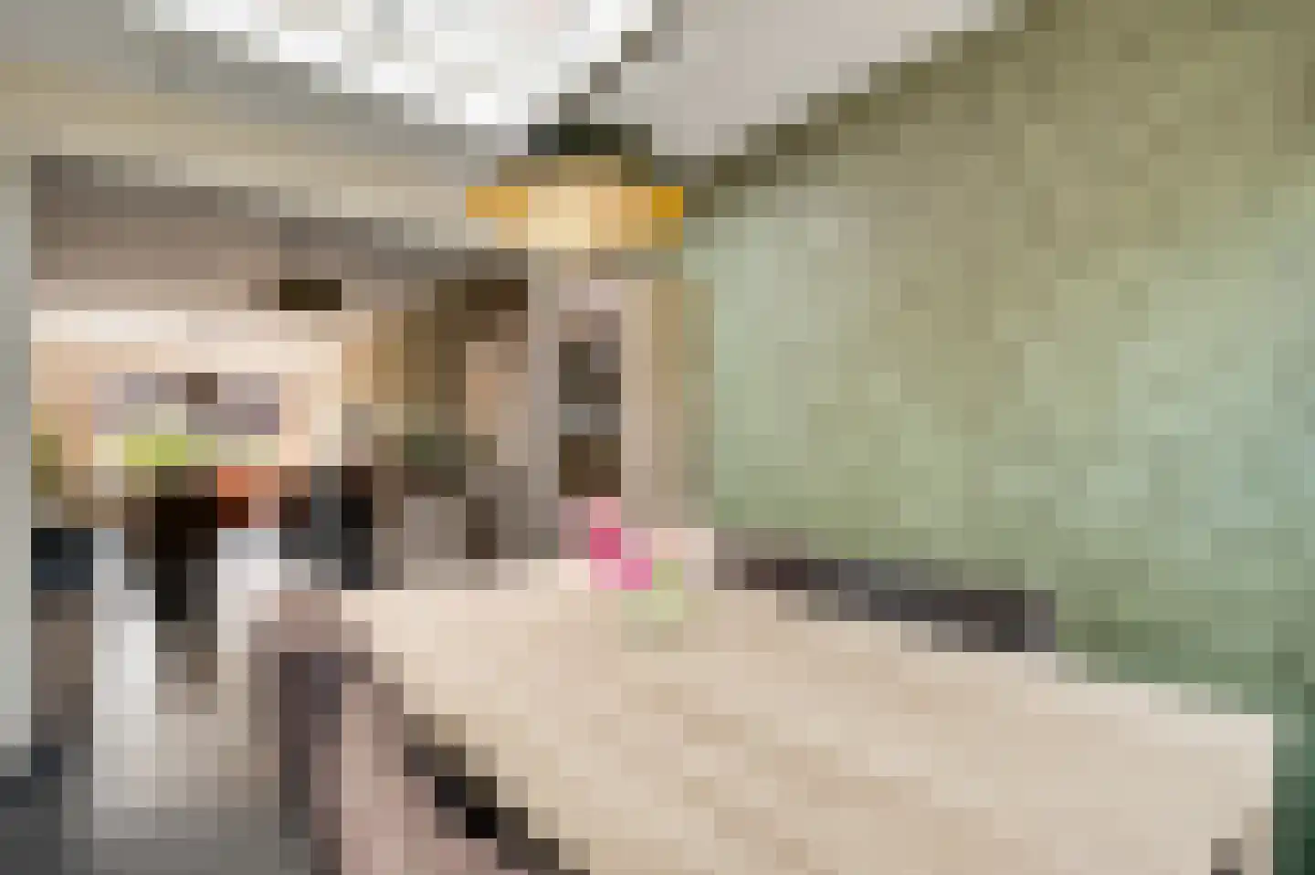 Tichelerstraat 15 Sevenum thumbnail 15