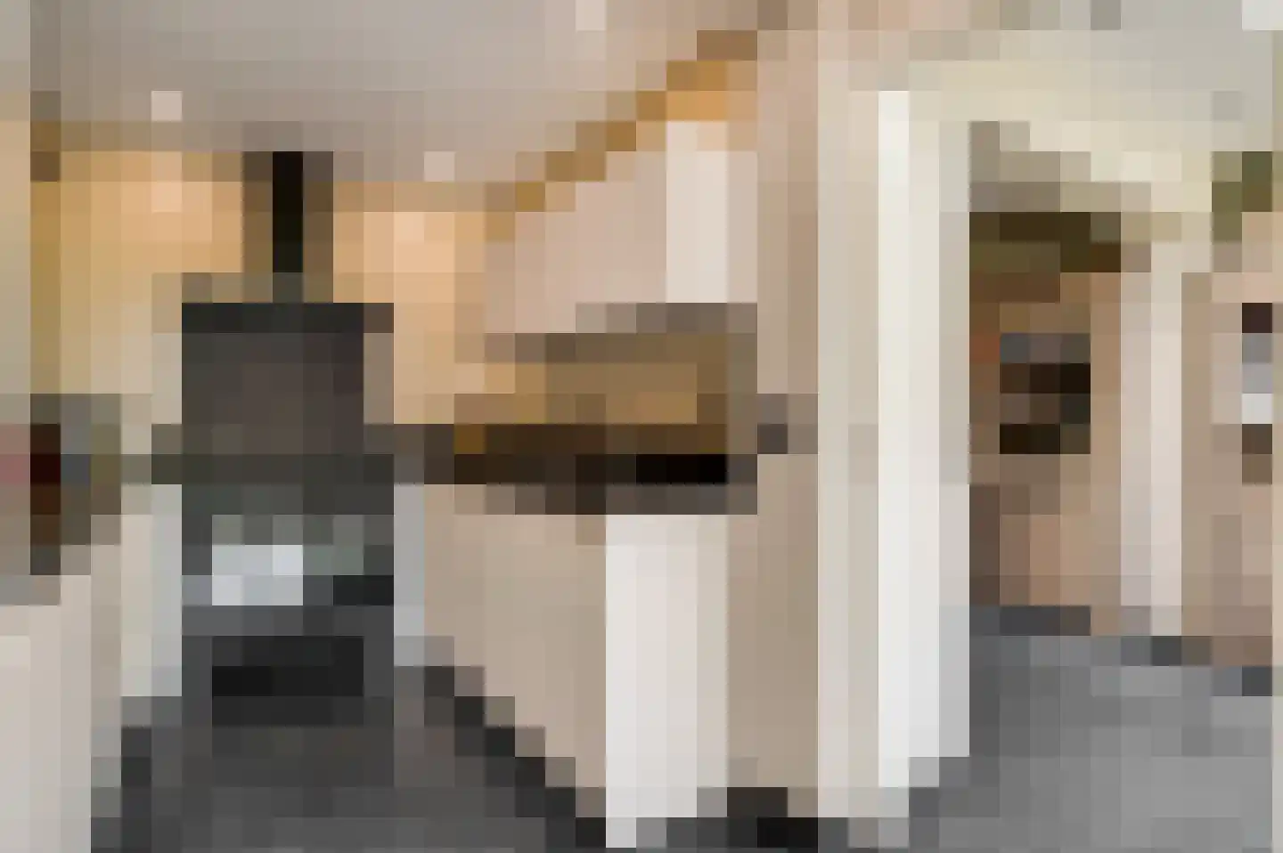 Tichelerstraat 15 Sevenum thumbnail 16