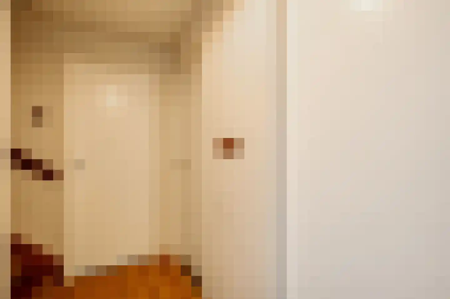 Tichelerstraat 15 Sevenum thumbnail 22