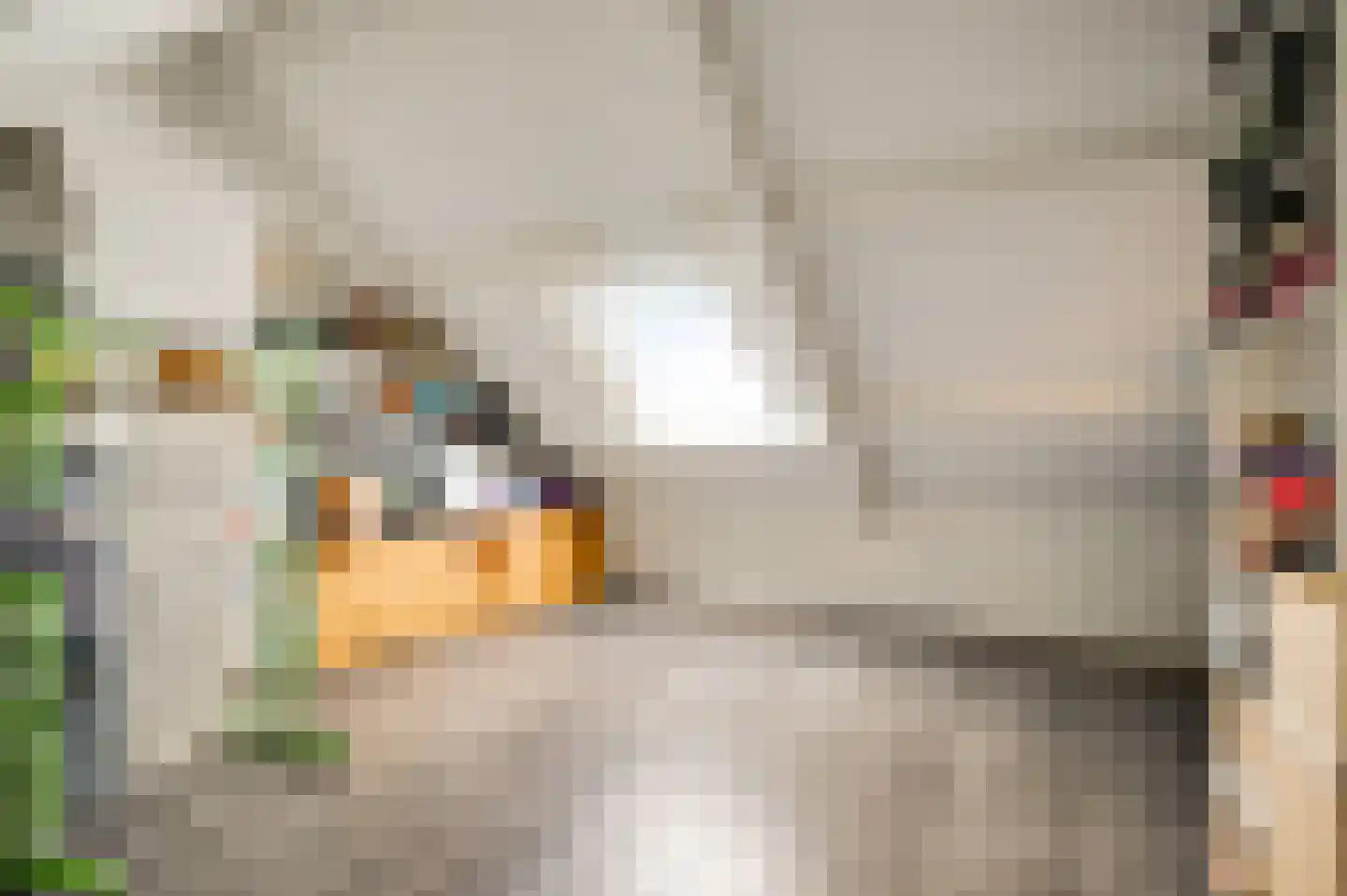 Tichelerstraat 15 Sevenum thumbnail 31