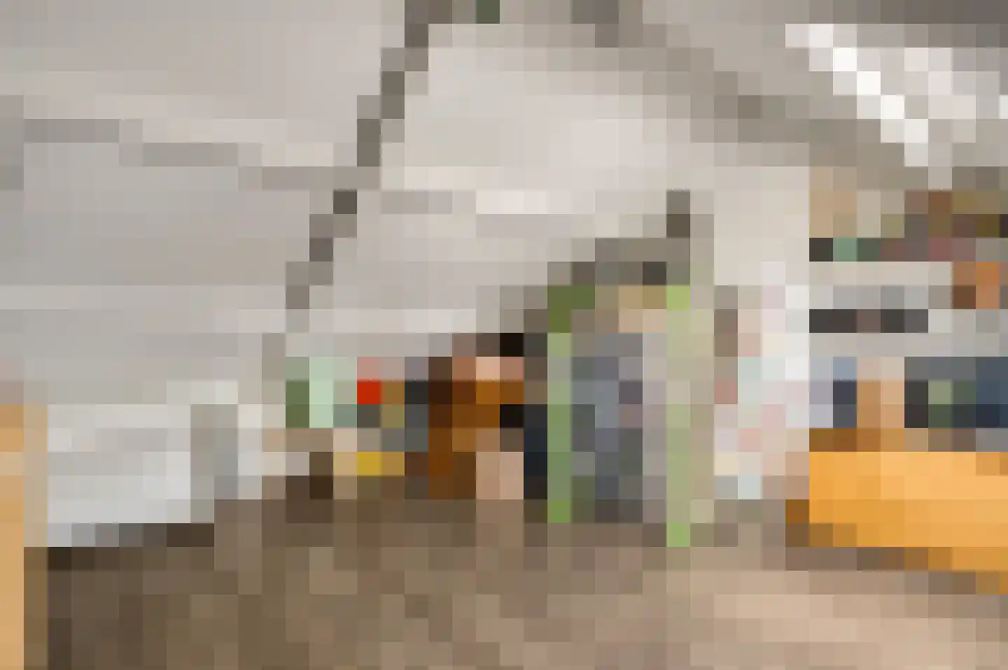 Tichelerstraat 15 Sevenum thumbnail 32