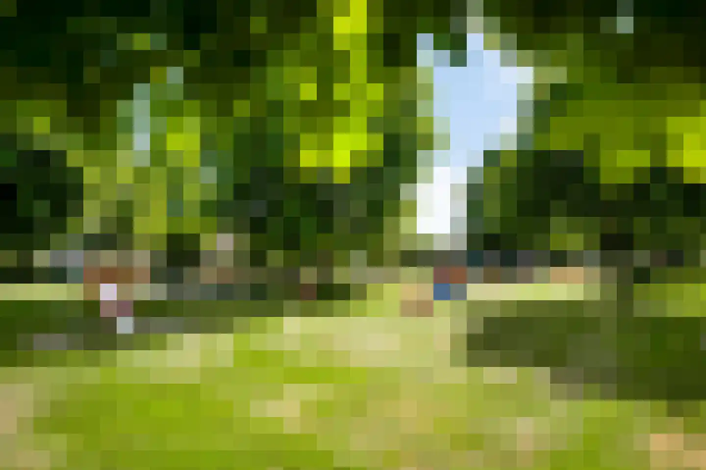 Tichelerstraat 15 Sevenum thumbnail 40