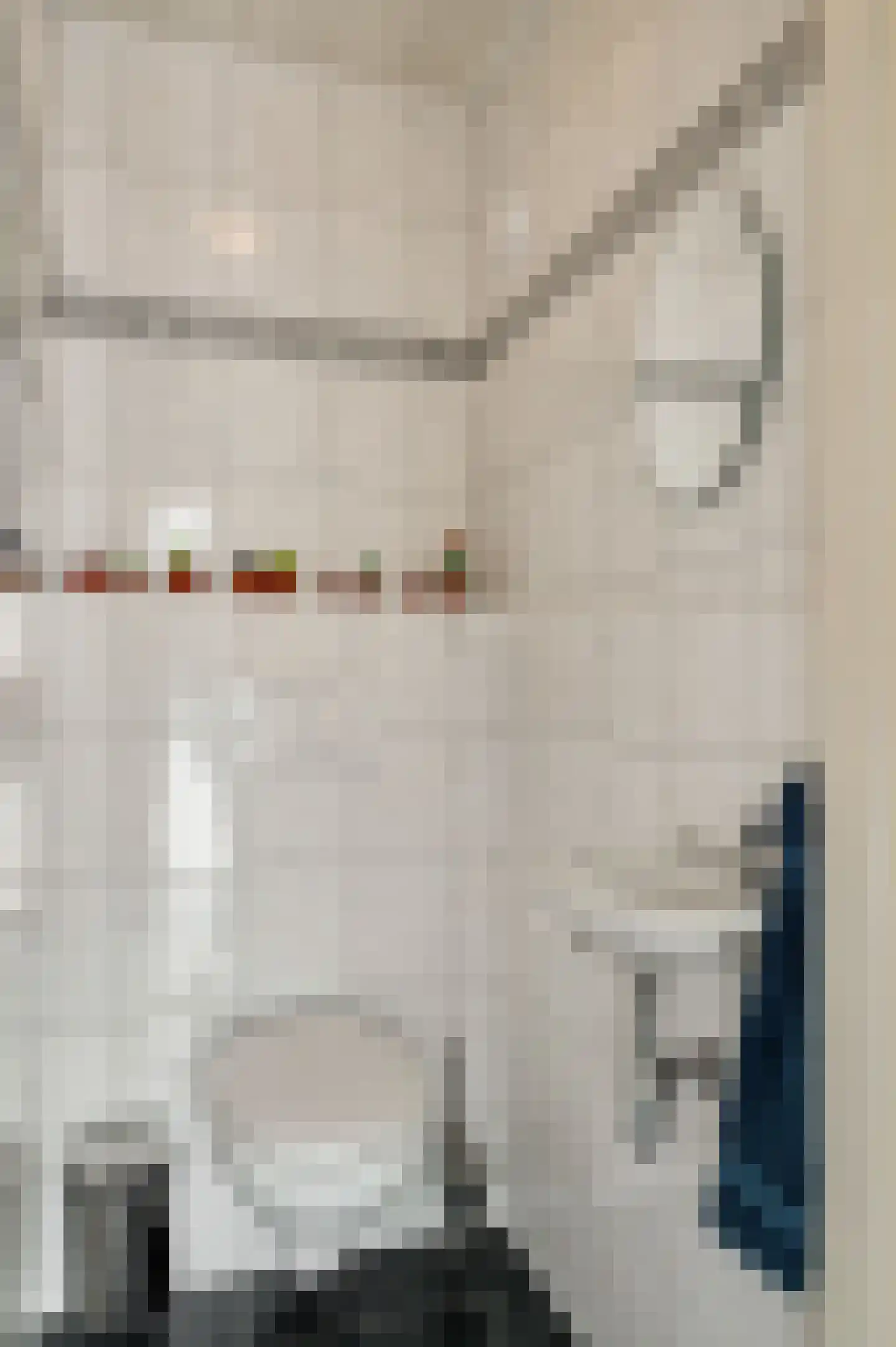 Tichelerstraat 15 Sevenum thumbnail 8