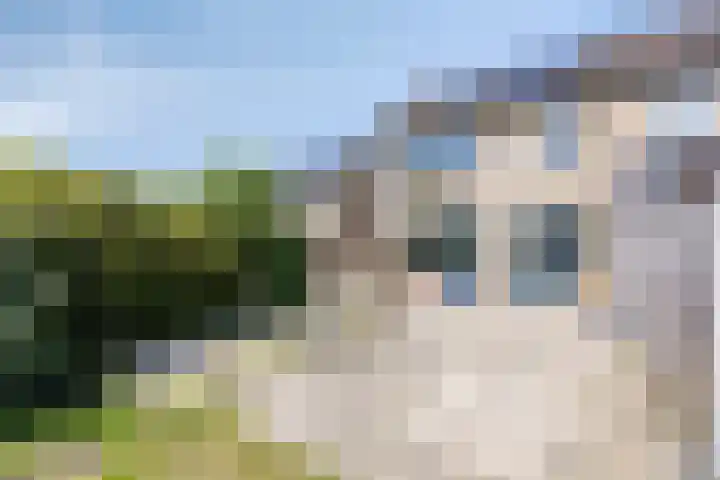 Tichelkamp 12 Burgum thumbnail 22