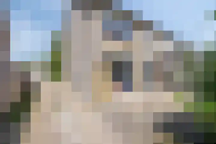 Tichelkamp 12 Burgum thumbnail 23
