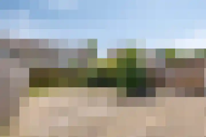 Tichelkamp 12 Burgum thumbnail 24
