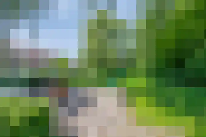 Tichelkamp 12 Burgum thumbnail 28